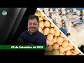 Download Lagu Boi e novilha ganham fôlego em SP com nova alta nos preços da arroba; já a soja recua em Chicago...