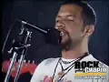 Bohemia Suburbana   Peces e Iguanas