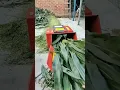 mesin pencacah rumput kapasitas 4 ton/jam #mesincacahrumput