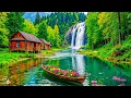 Download Lagu Prachtige ontspannende muziek 🍀Rustgevende vogelzang en zachte beekgeluiden voor diepe ontspanning