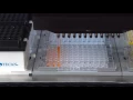 An MCA 96 is pipetting with a column of eight DiTis