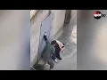 Shocking pictures Panda attacks keeper