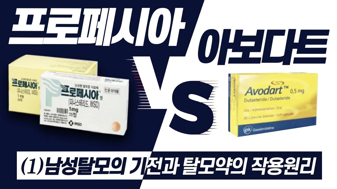 의느님답변📂ㅣ또만났네 또만났어🎵프로페시아VS아보다트 뭘 먹어야 할까?