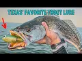 Texas Favorite Lure For Trout Does It Work In Other States