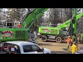 AAA Tree Service Construction - 2003 BARK BEETLE PROJECT