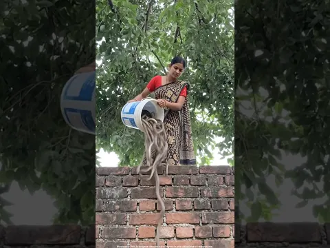 दुर्गा माँ और काली लड़की || माता रानी और भक्त || बहू ने सास के साथ क्या किया #shorts