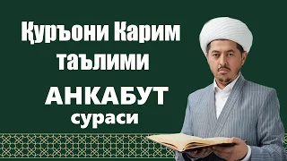                            دندنها