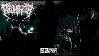 Download PEELINGFLESH -  211/187 + F.F.W.A.S (Official Video) MP3