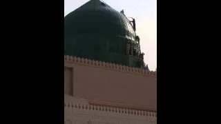 تنظيف قبه المدينه المنورة دندنها