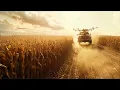 Download Lagu Hans Zimmer ~ Cornfield Chase (From Interstellar) 🛰️