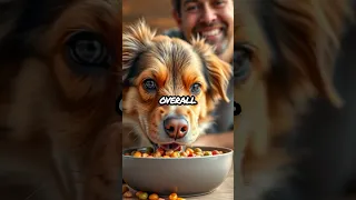 Revolutionize Your Pet S Diet With Personalized Nutrition Plans 