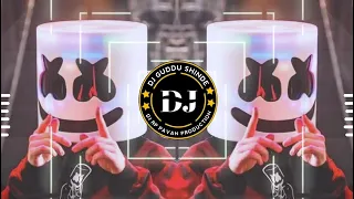 mamale vicharun pay dj song 