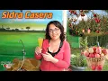 Download Lagu Sidra Casera Muy Fácil