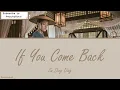 [OST of The Long Ballad] 《If You Came Back》 Sa Ding Ding (Eng|Chi|Pinyin)