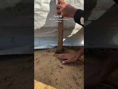 #gaza #food #palestine #trending #shorts #fyp