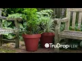 TruDrop Flex Introduction
