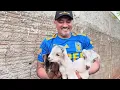 Download Lagu CHARLLES FELIZ COM OS TRIGÊMEOS DA CHÁCARA COMÉDIA SELVAGEM 🥰￼