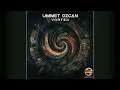Ummet Ozcan - Vortex