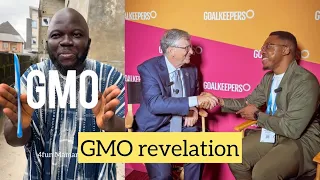 This Is Everything About The GMO In Nigeria 