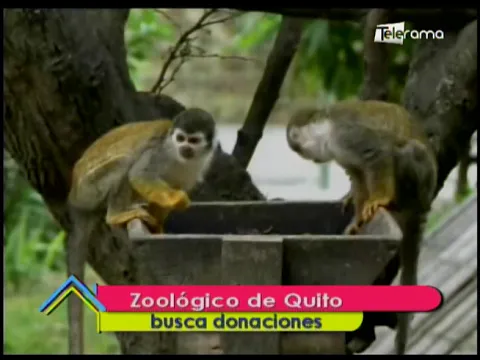 Zoológico de Quito busca donaciones
