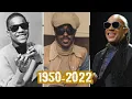 Stevie Wonder Biography - Facts Childhood Family Life