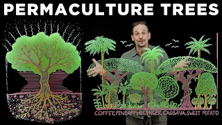 How to Heal the Land with Trees