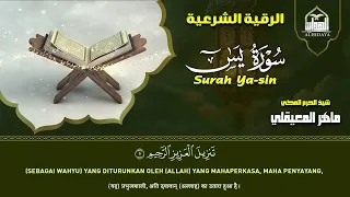 استمع بنية الرزق والشفاء والبركة بإذن الله   يس   الرحمن   الواقعة   الملك   الشيخ ماهر المعيقلي     حالتي