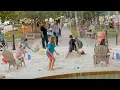 Macon Action Plan Downtown Challenge 2 0