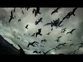 Download Lagu Leviathan (Trailer) by Verena Paravel \u0026 Lucien Castaing-Taylor
