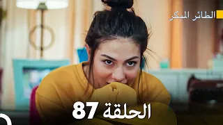 مسلسل الطائر المبكر الحلقة 87 Arabic Dubbed FULL HD  مسلسل الطائر المبكر الحلقة 87 Arabic Dubbed FULL HD