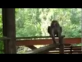 rightbehindyou mp4