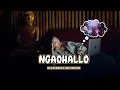 Download Lagu Ngaohallo - Felix Yumnam X Len Athokpam [ Official Music Video ]