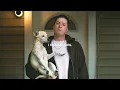 OnCue - Not Mine