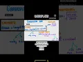 Carboplatin dose calculation Calvert s formula