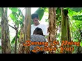 Download Lagu Burung Si Paing Dilihat Yuli