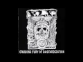 Download Lagu P.L.F. - Crushing Fury of Bastardization (2008) Full Album HQ (Grindcore)