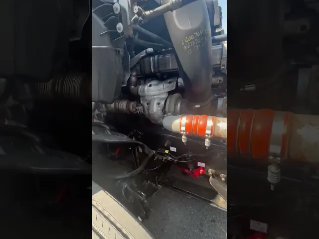 View Video