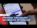 Download Lagu Promosi Judi Online Selebgram Ditangkap Polisi