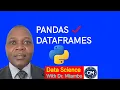 The ULTIMATE Pandas Tutorial 2026 Master DataFrames FAST