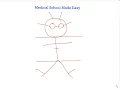 How to Draw and Remember the Circle of Willis Quickly