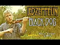 Black Dog - LED ZEPPELIN (Violin Cover)