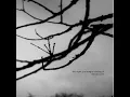 Things We Lost Along The Way (Loscil Remix)