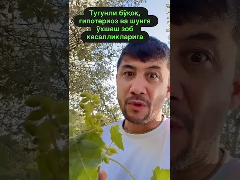 Тугунли букокни Уй шароитида даволаш нима бизга керак? #uydadavolanish