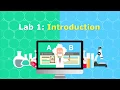 100 Split Tests Introduction
