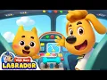 Download Lagu 🛩️ Cuộc phiêu lưu máy bay của Dodo | Hoạt hình thiếu nhi 👮 Cảnh sát trưởng Labrador Vietnam 🚔