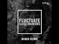 Fluctuate (Mingo Remix)