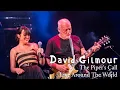 Download Lagu David Gilmour - The Piper's Call Live Around The World MP3