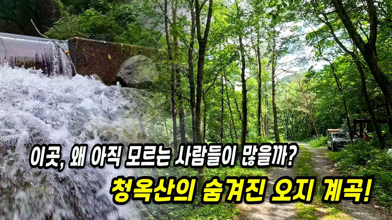 관련 영상 썸네일