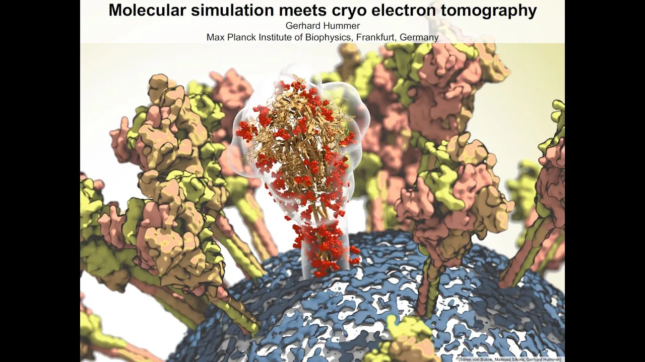 Molecular Simulation Meets Cryo Electron Tomography | Gerhard Hummer | Max Planck Institute
