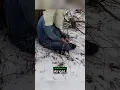 Strange trespasser caught with a strange magazine
